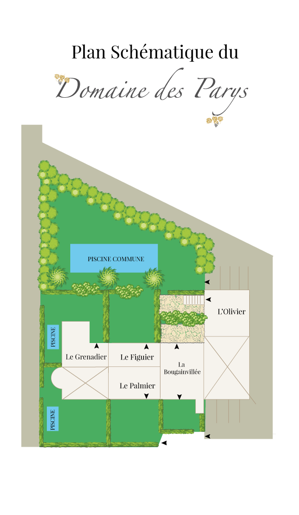 plans
